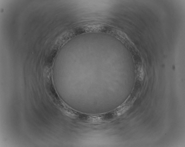 X0000074930701200609081326