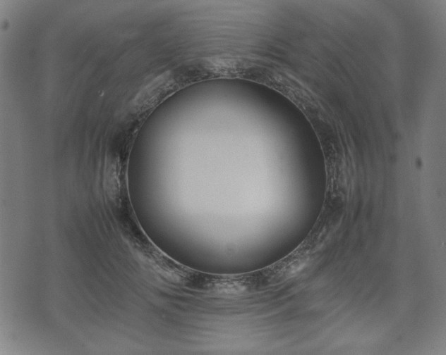 X0000074930702200609081326