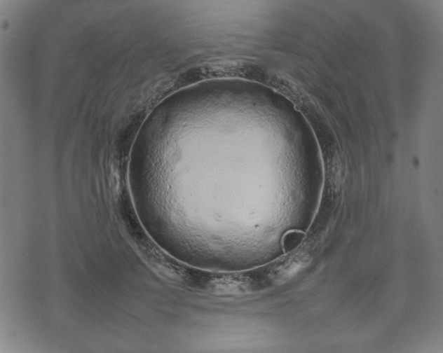 X0000074930703200609081326