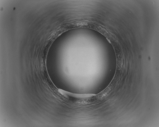 X0000074930704200609081326