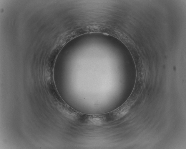 X0000074930706200609081326