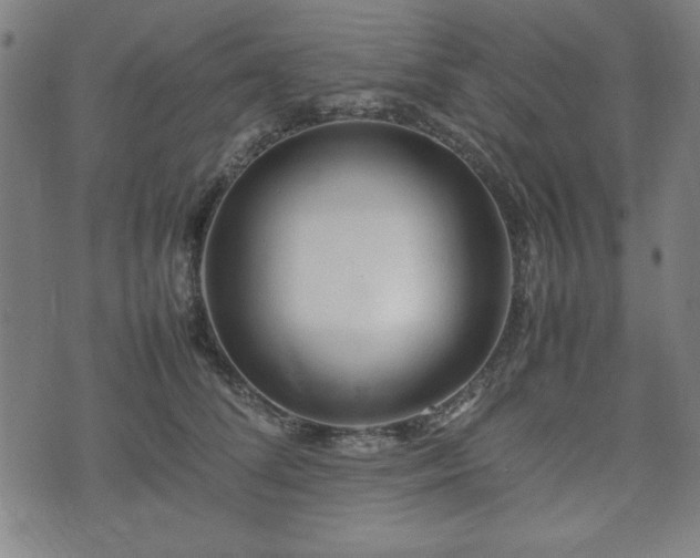 X0000074930708200609081326