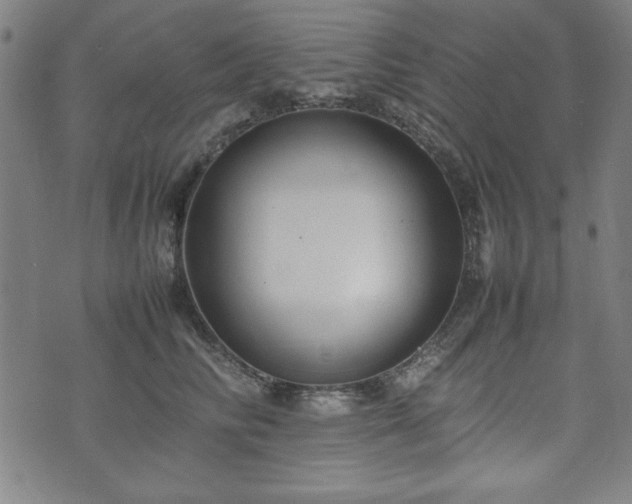 X0000074930710200609081326