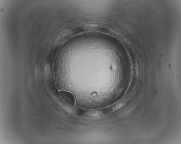 X0000074930711200609081326