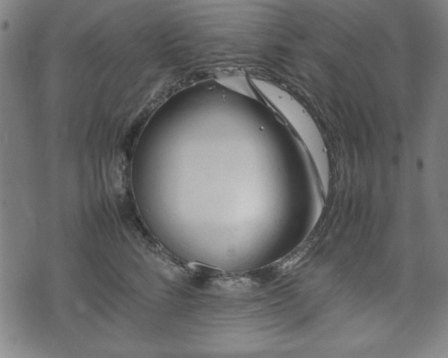 X0000074930712200609081326