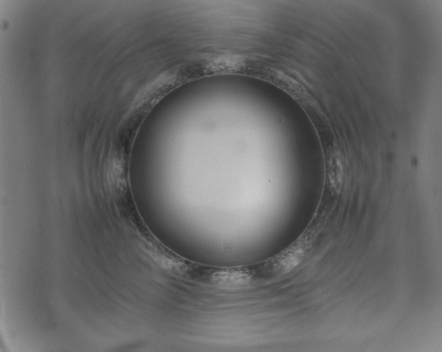 X0000074930714200609081326