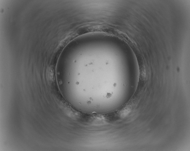 X0000074930715200609081326