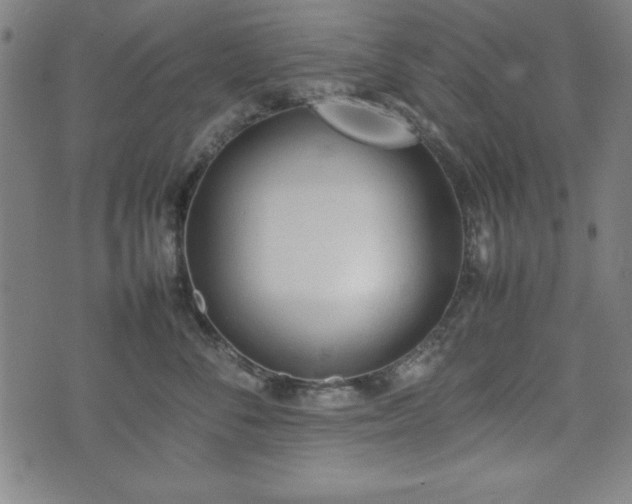 X0000074930716200609081326