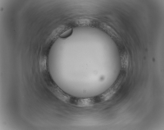 X0000074930717200609081326