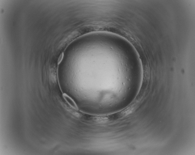 X0000074930719200609081326