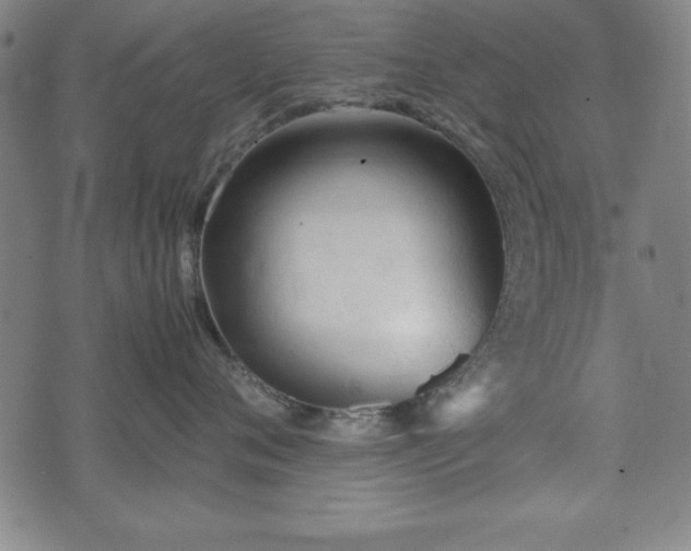 X0000074930720200609081326