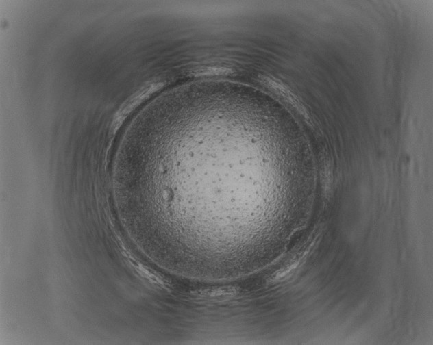 X0000074930721200609081325