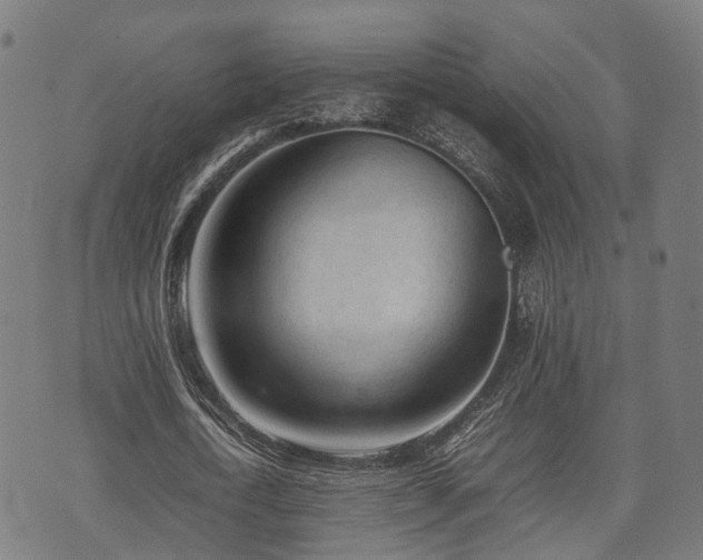 X0000074930722200609081325