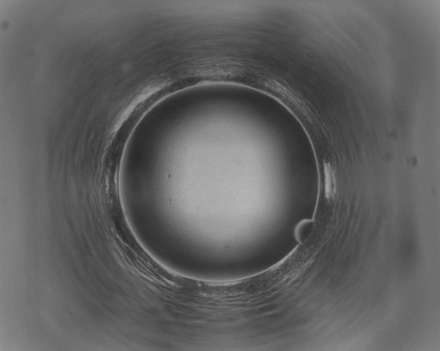 X0000074930723200609081325