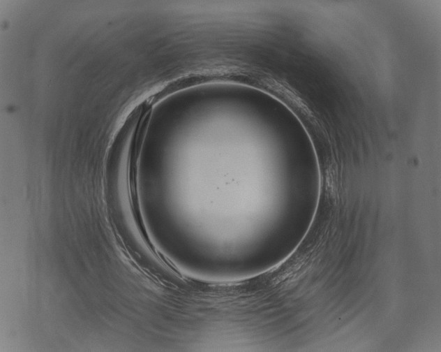 X0000074930724200609081325