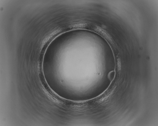 X0000074930725200609081325