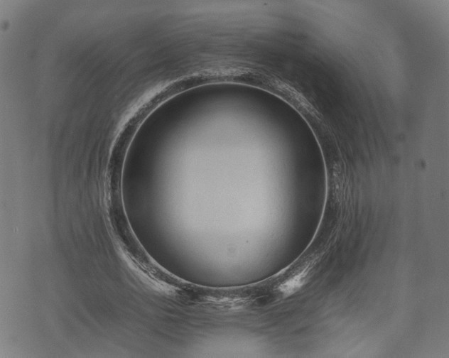 X0000074930726200609081325