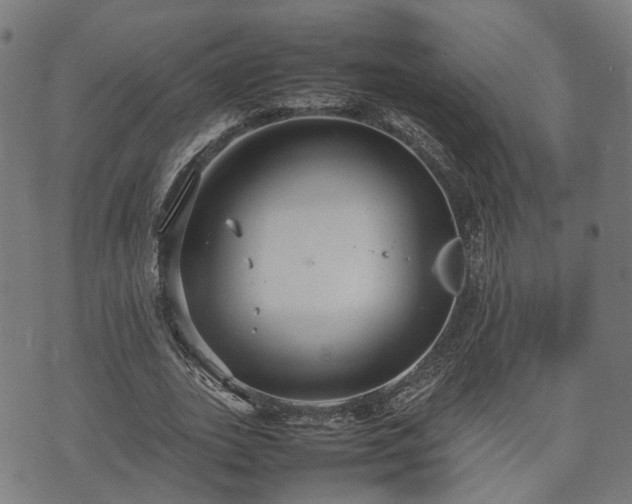 X0000074930727200609081325