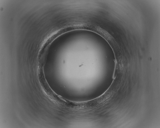 X0000074930728200609081325