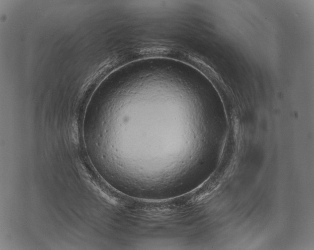 X0000074930729200609081325