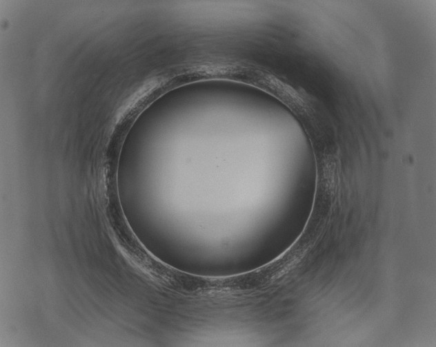 X0000074930730200609081325