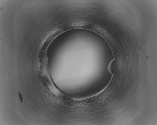 X0000074930731200609081325