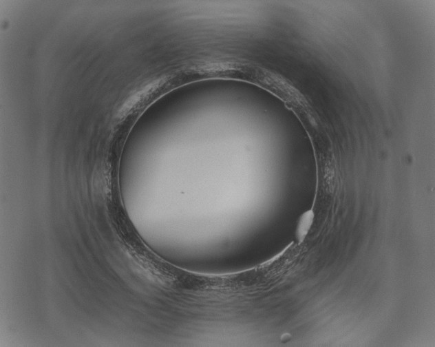 X0000074930732200609081325