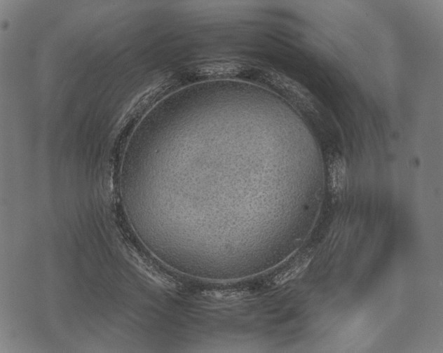 X0000074930733200609081325