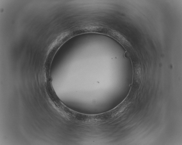 X0000074930734200609081325