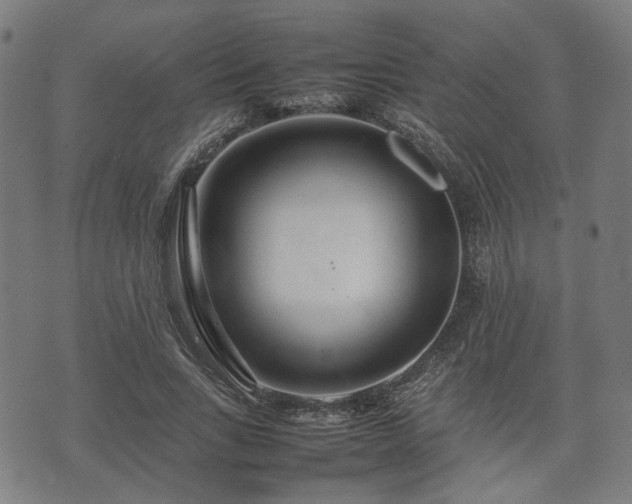 X0000074930735200609081325