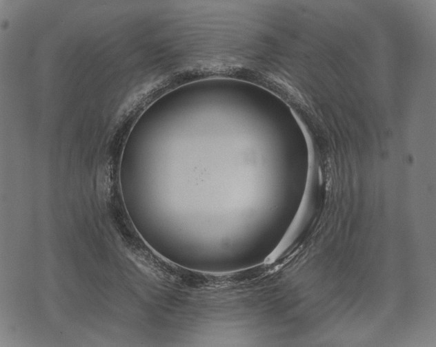 X0000074930736200609081325