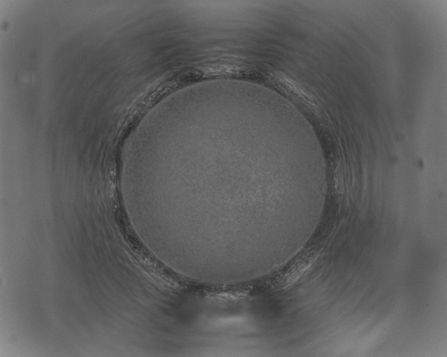 X0000074930737200609081325