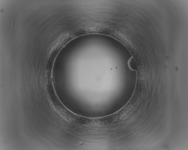 X0000074930738200609081325