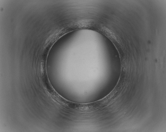 X0000074930740200609081325