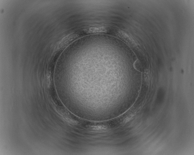 X0000074930741200609081325