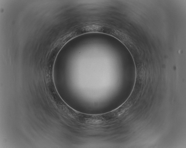 X0000074930743200609081325