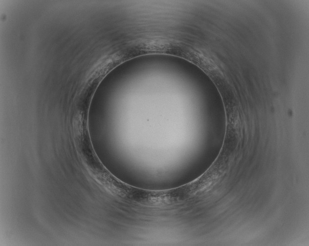 X0000074930744200609081325