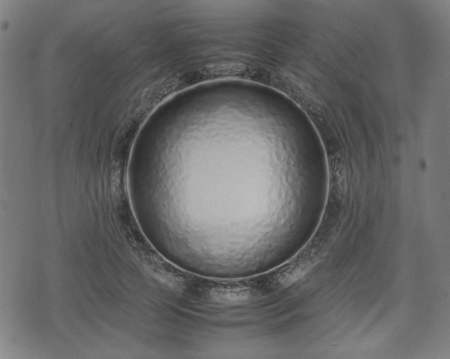 X0000074930745200609081325