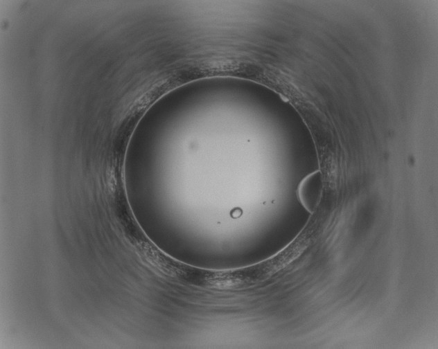 X0000074930746200609081325