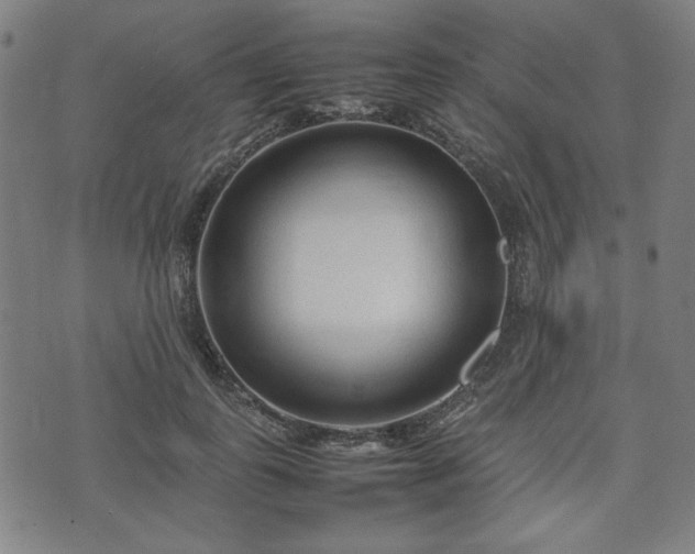 X0000074930747200609081325