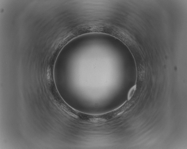 X0000074930748200609081325