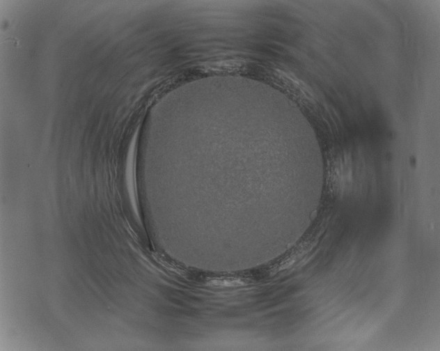 X0000074930749200609081325