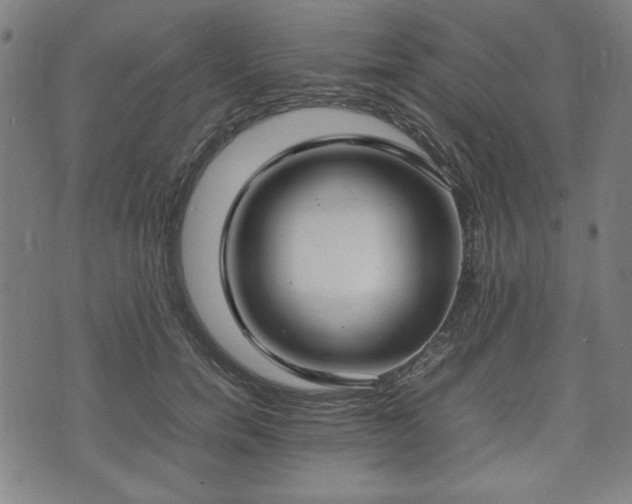 X0000074930750200609081325