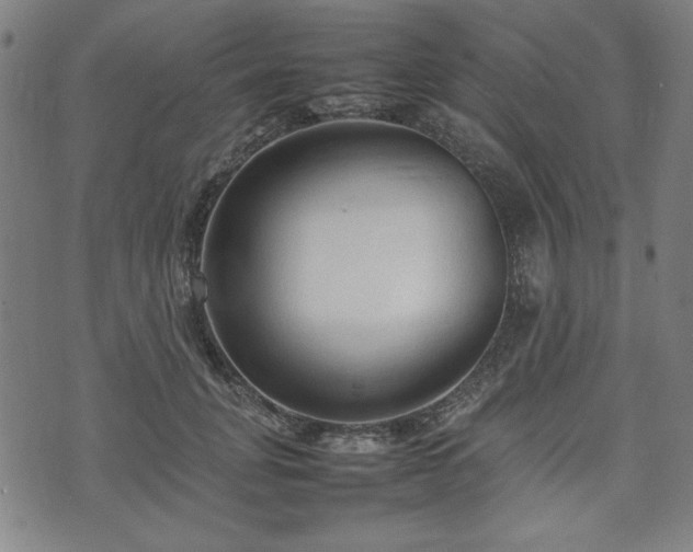 X0000074930751200609081325