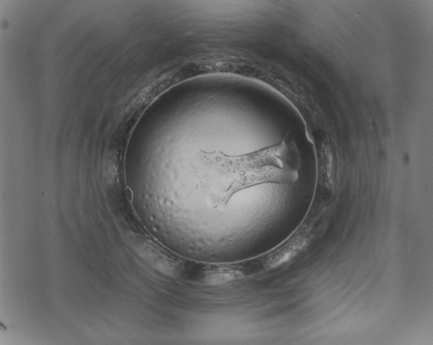 X0000074930754200609081325