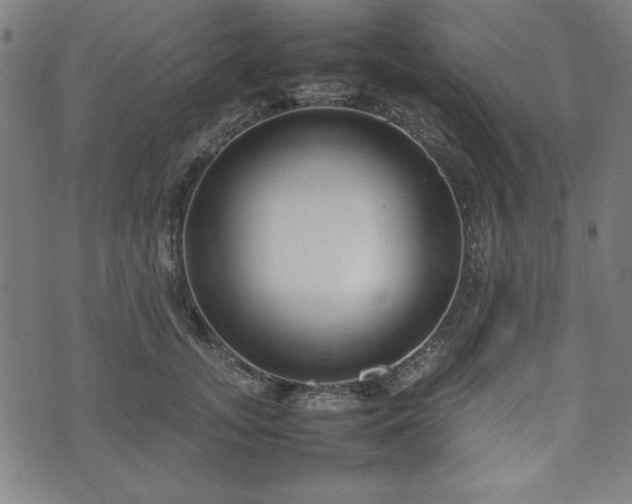 X0000074930755200609081325