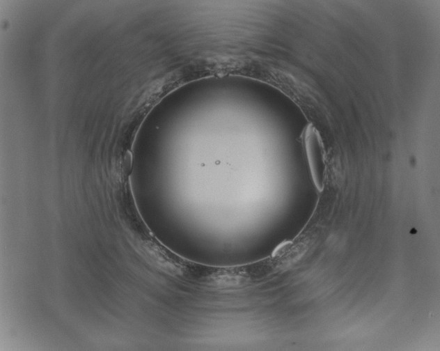 X0000074930756200609081325