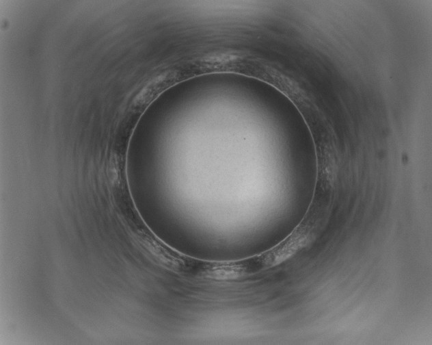 X0000074930758200609081325