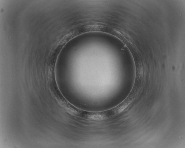 X0000074930759200609081325