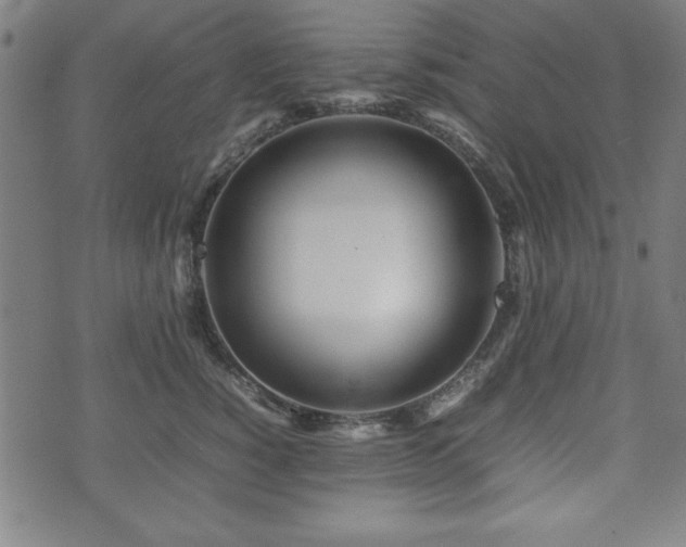 X0000074930760200609081325